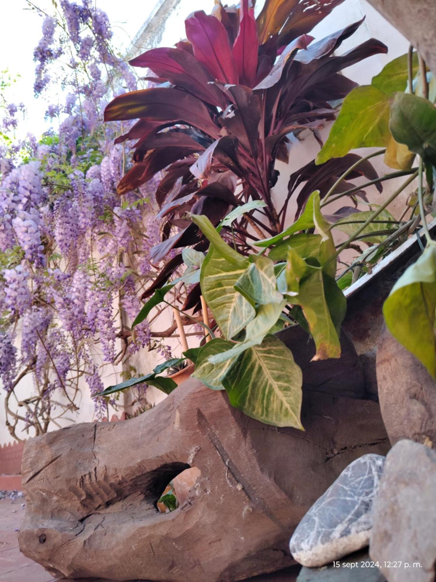 Casa Kuyay Villa San Salvador de Jujuy Kültér fotó