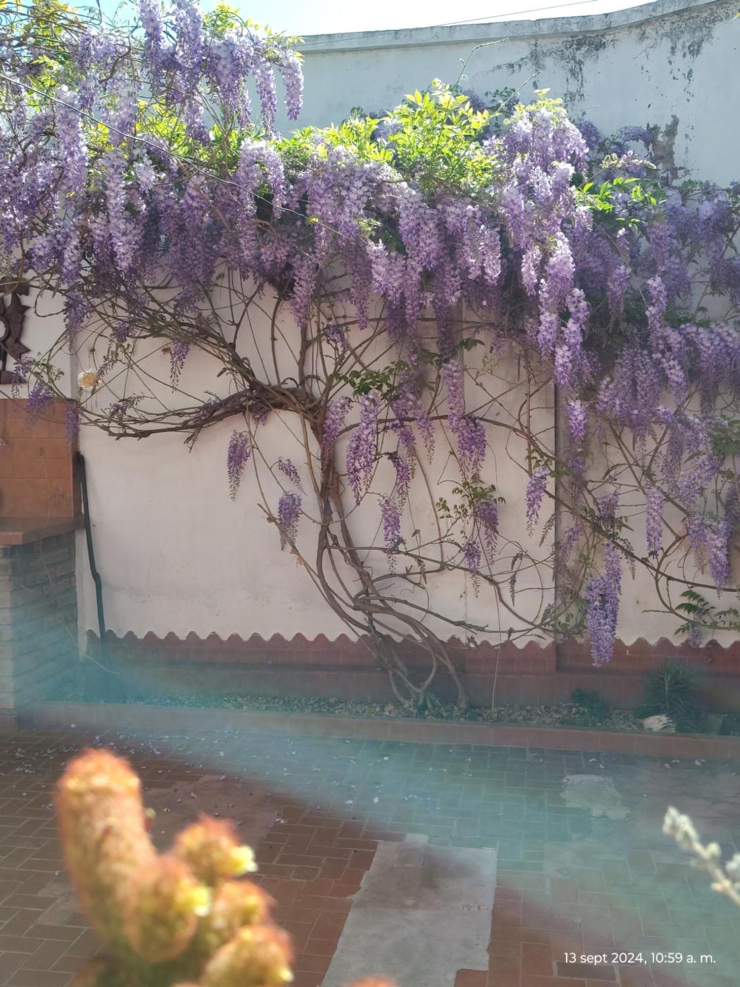 Casa Kuyay Villa San Salvador de Jujuy Kültér fotó